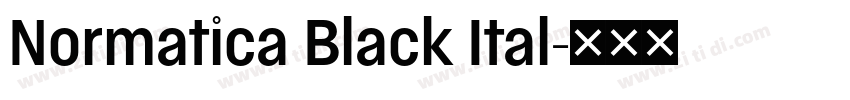 Normatica Black Ital字体转换